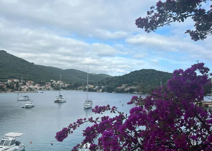 Direkt Am -zrnovska Banja -2,5 Km Zur Altstadt Apartament Korčula